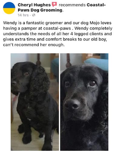 Business listing image