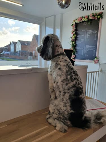 Business listing image