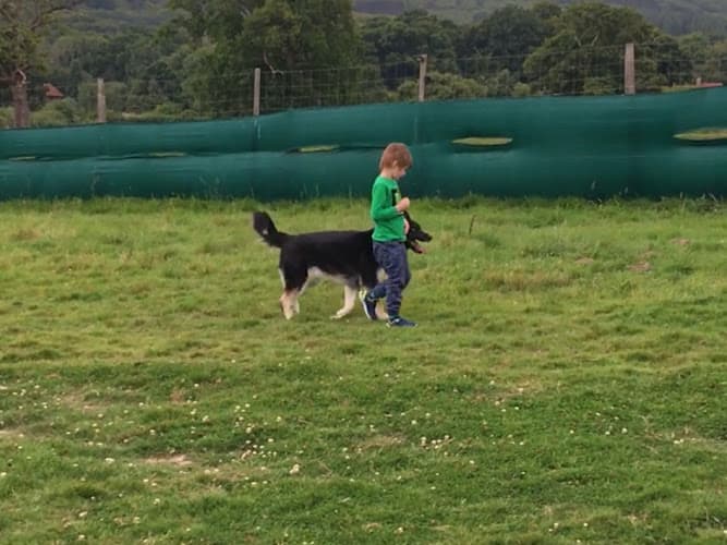 Business listing image