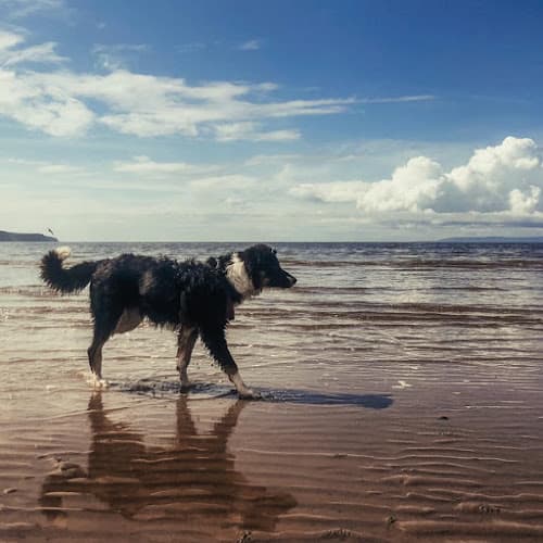 Business listing image