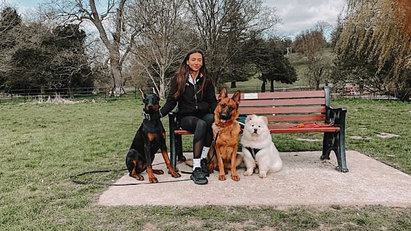 Business listing image