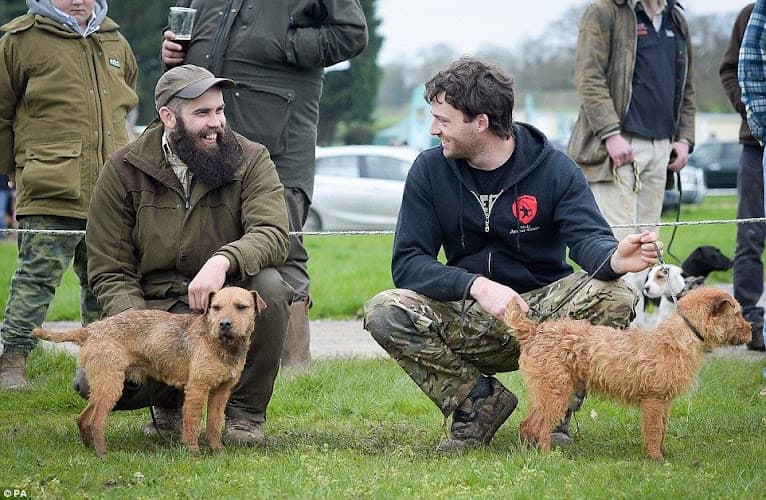 Business listing image