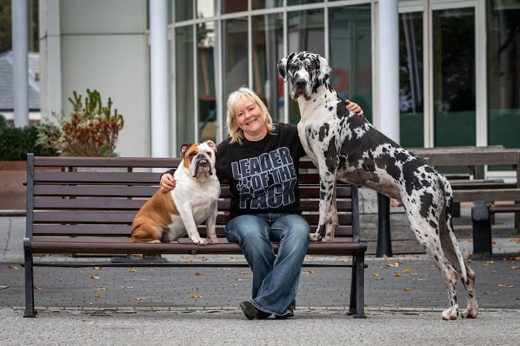 Business listing image