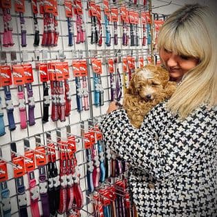 Business listing image