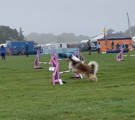 Business listing image