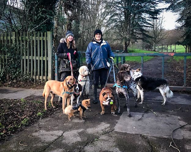 Business listing image