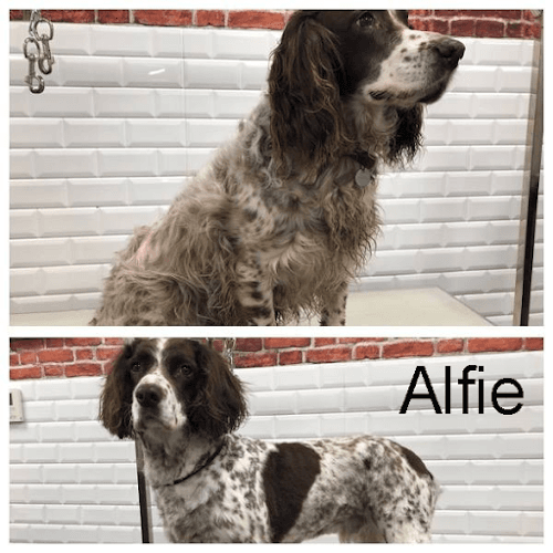 Business listing image