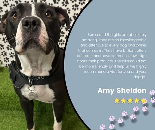 Business listing image