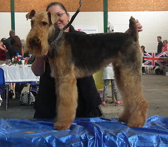 Business listing image