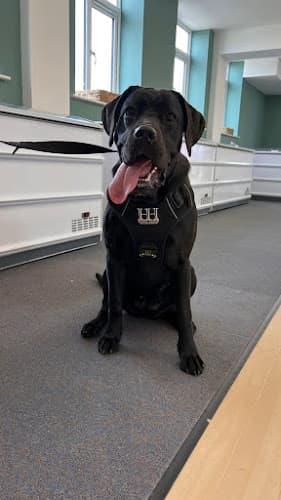 Business listing image