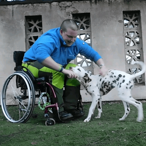 Business listing image