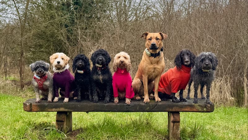 Business listing image