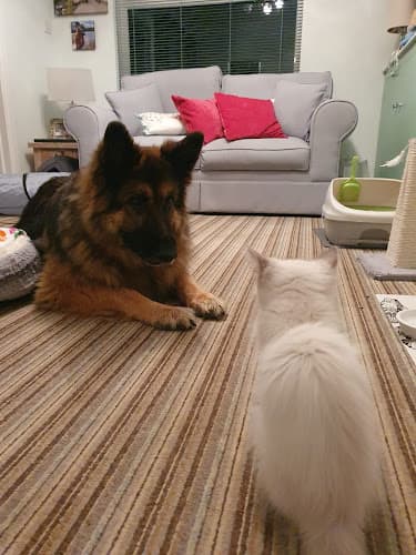 Business listing image