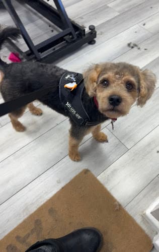 Business listing image