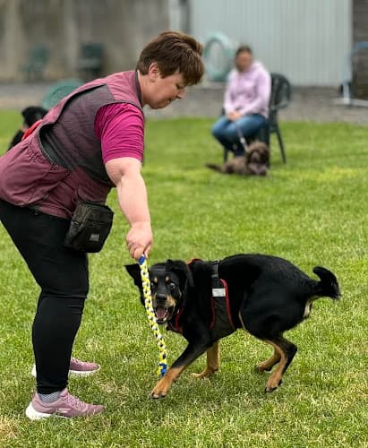 Business listing image