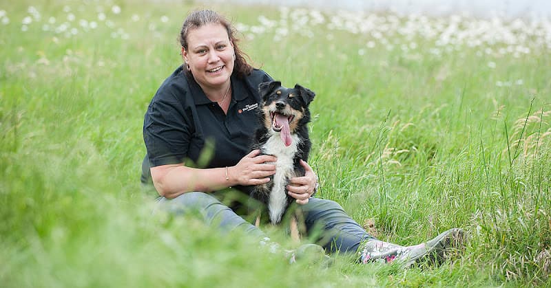 Business listing image