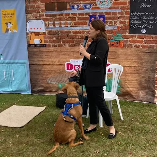 Business listing image