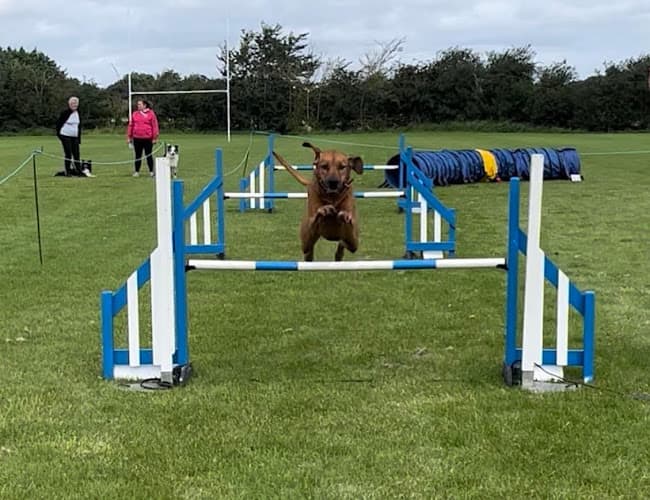 Business listing image