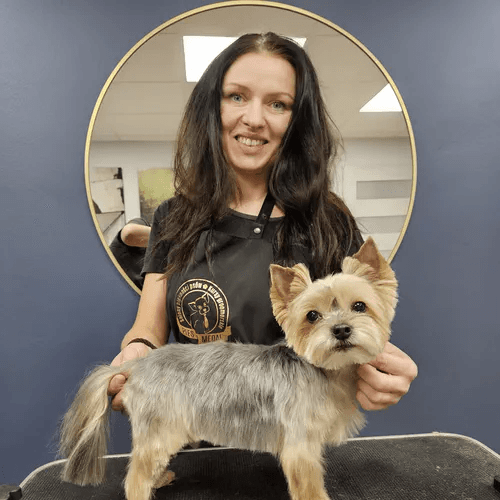 Business listing image