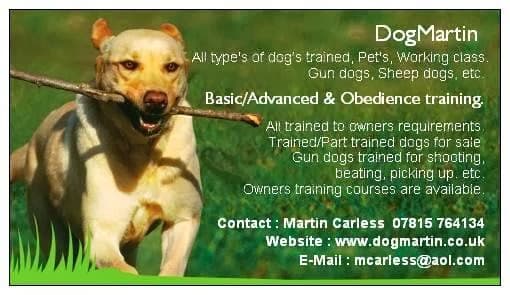 Business listing image