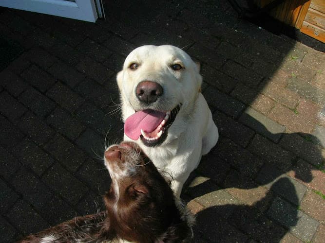 Business listing image