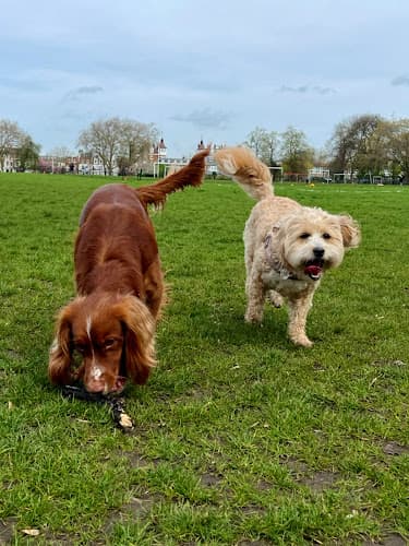 Business listing image