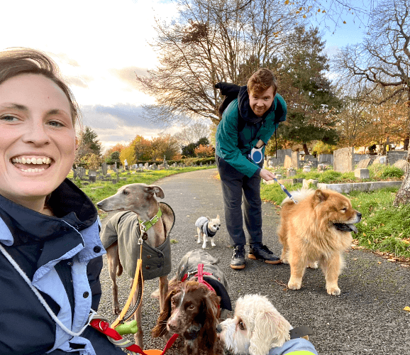 Business listing image