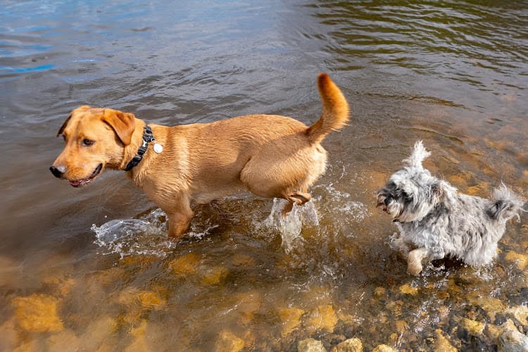 Business listing image