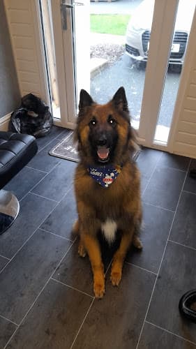 Business listing image