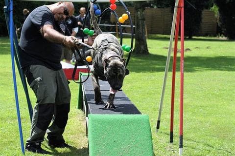 Business listing image