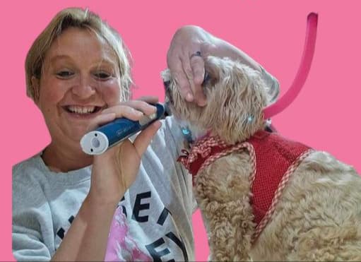 Business listing image