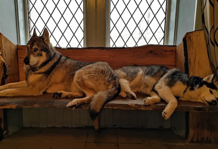 Business listing image