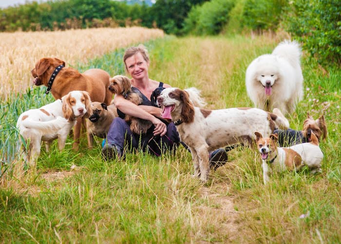 Business listing image