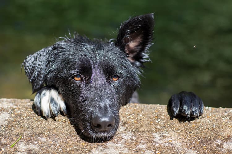 Business listing image