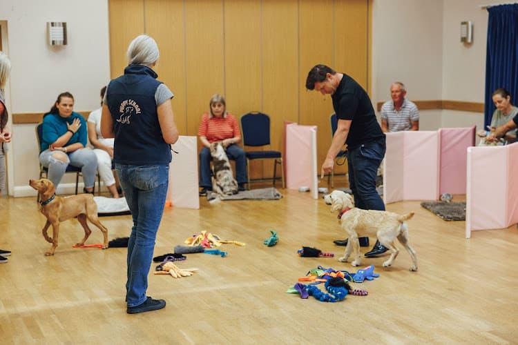 Business listing image