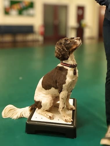 Business listing image