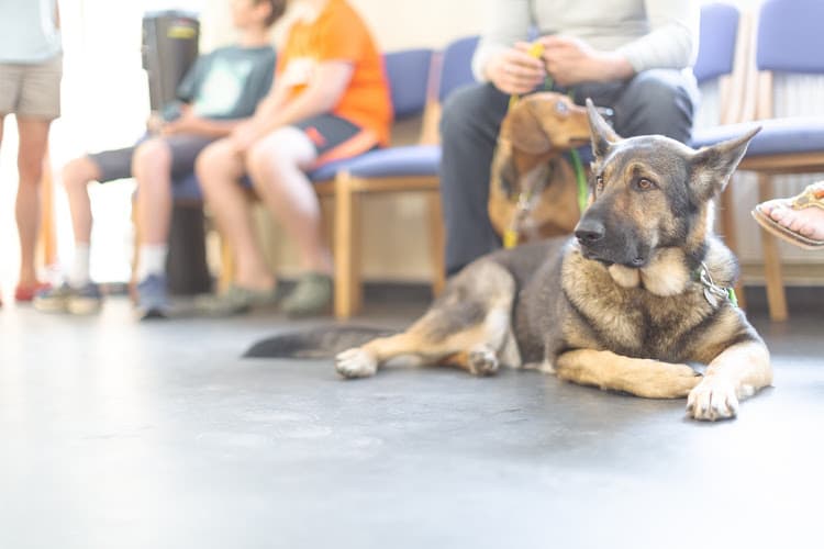 Business listing image