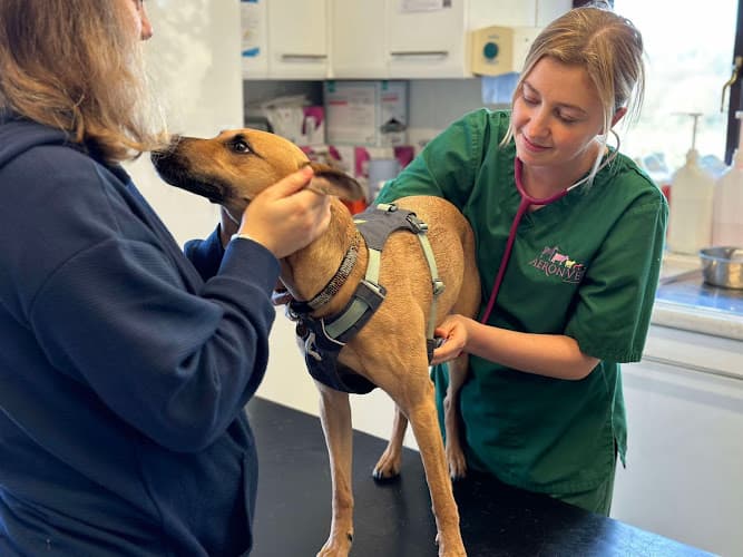 Business listing image