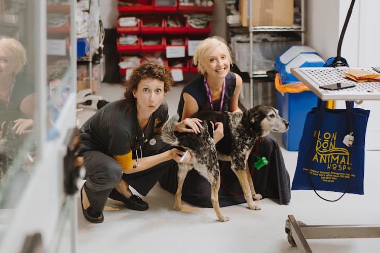 Business listing image