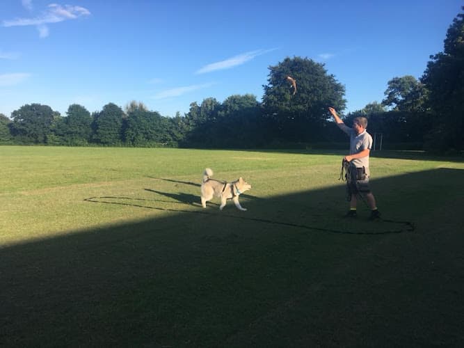 Business listing image