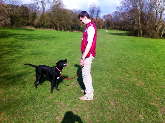 Business listing image