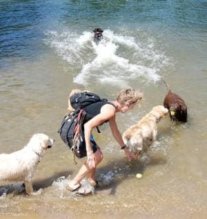 Business listing image