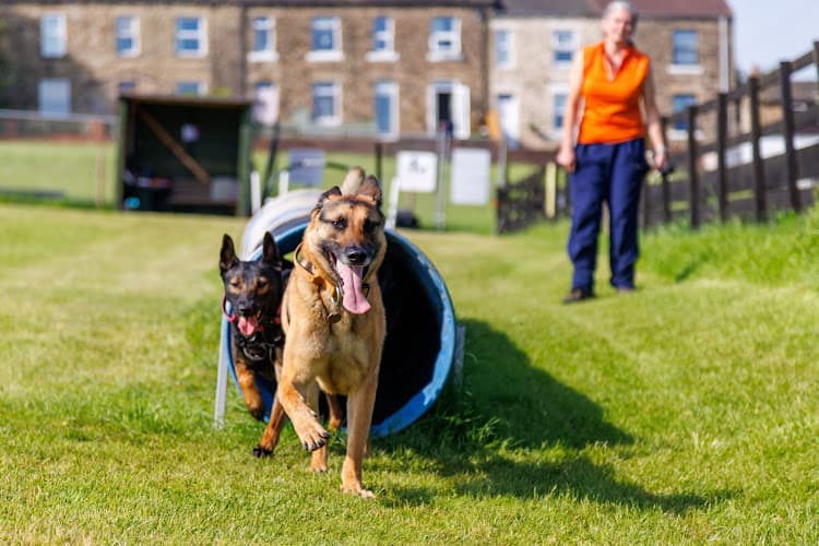 Business listing image