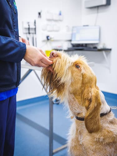 Business listing image