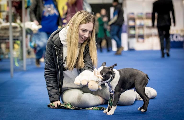 Business listing image