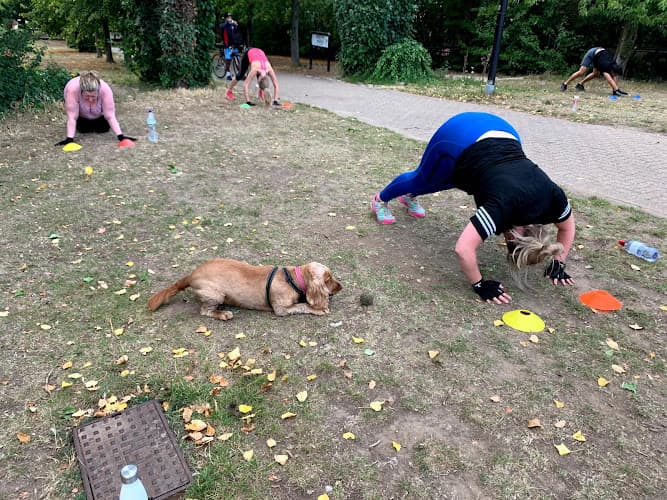 Business listing image