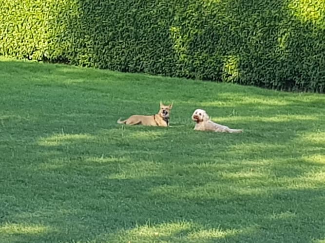 Business listing image