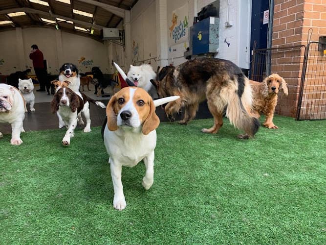 Business listing image