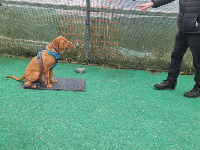 Business listing image