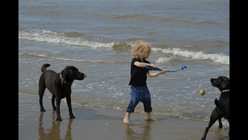 Business listing image